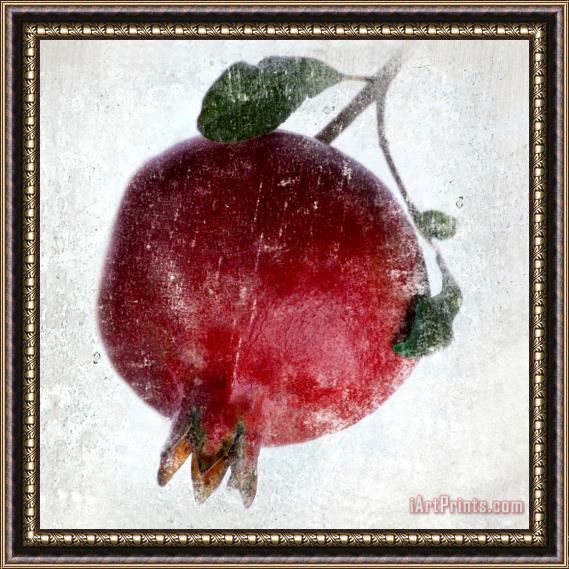 Sia Aryai Pomegranate Framed Painting