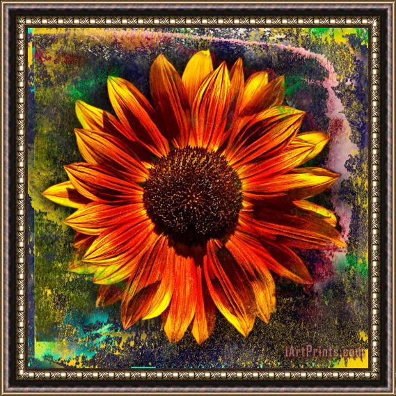 Sia Aryai Sunflower Red Framed Painting