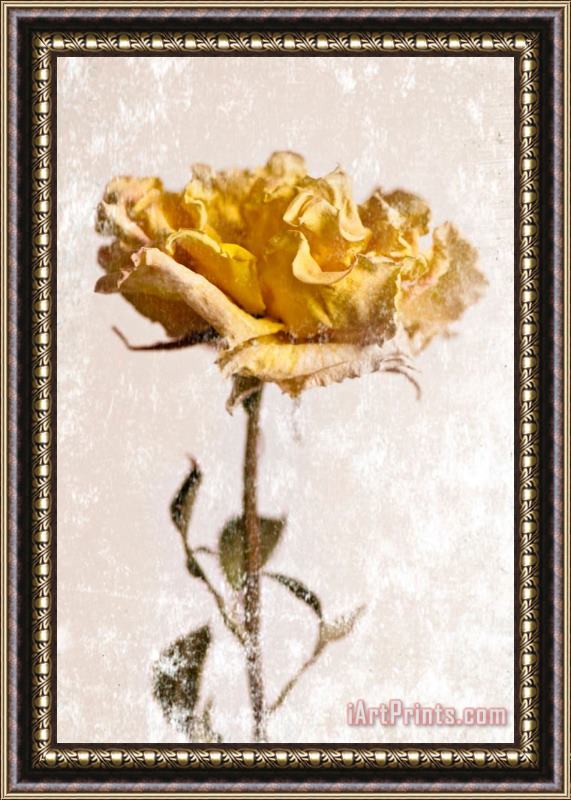 Sia Aryai Yellow Rose Framed Painting