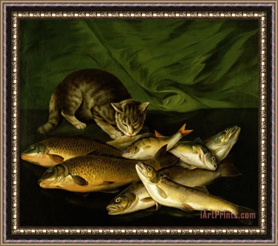 Stephen Elmer A Cat with Trout Perch and Carp on a Ledge Framed Print