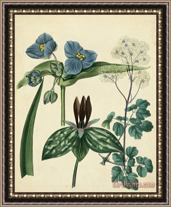 Sydenham Teast Edwards Cottage Florals V Framed Painting