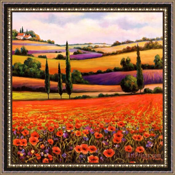 T. C. Chiu Fields of Poppies I Framed Painting