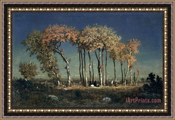 Theodore Rousseau Under The Birches, Evening Framed Print