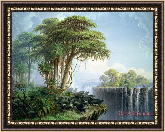 Thomas Baines Buffalos Driven To The Edge Of The Chasm Opposite Garden Island Victoria Falls Framed Print