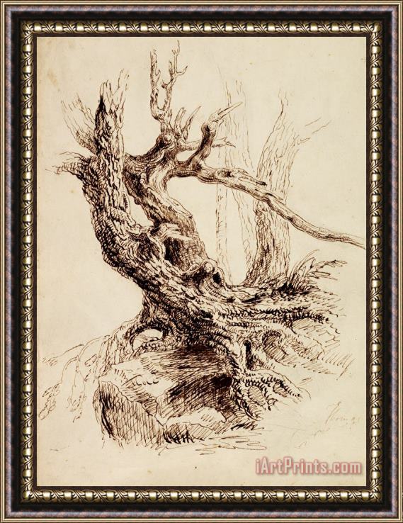 Thomas Cole Gnarled Tree Trunk Framed Painting