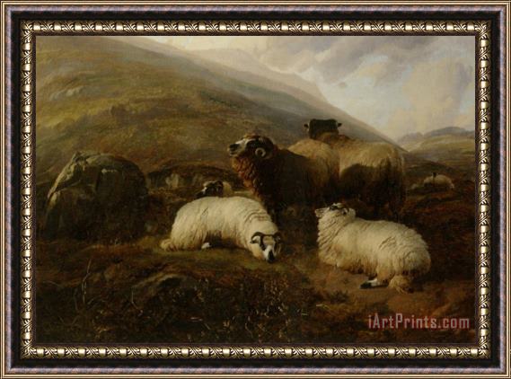 Thomas Sidney Cooper Sheep in The Highlands Framed Painting