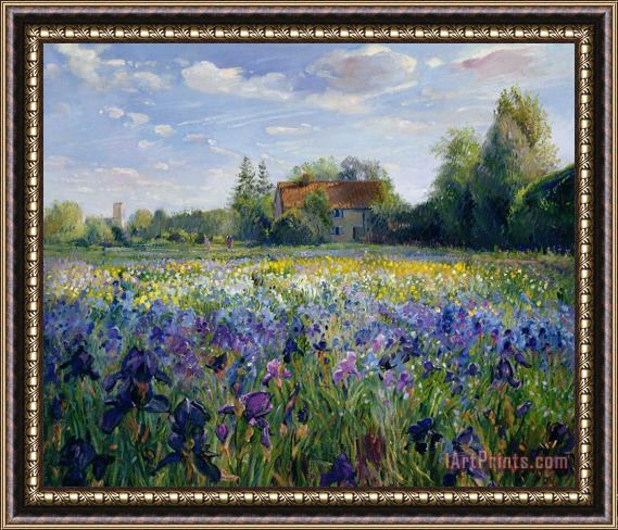 Timothy Easton Evening at the Iris Field Framed Painting