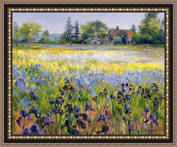 Timothy Easton Irises and Two Fir Trees Framed Painting