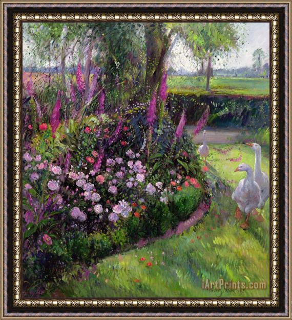 Timothy Easton Rose Bed and Geese Framed Print