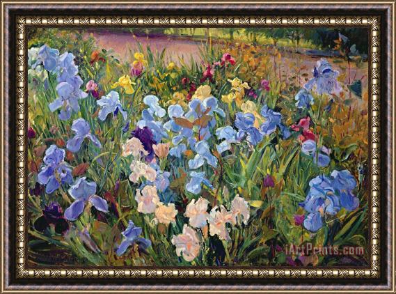 Timothy Easton The Iris Bed Framed Painting