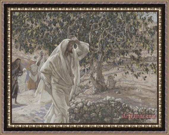 Tissot The Accursed Fig Tree Framed Painting