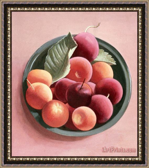 Tomar Levine Bowl Of Fruit Framed Painting