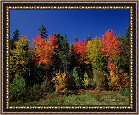 View in the Appalachian Mountains View in the Appalachian Mountains Framed Painting