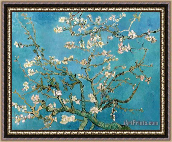 Vincent van Gogh Almond Branches In Bloom Framed Painting