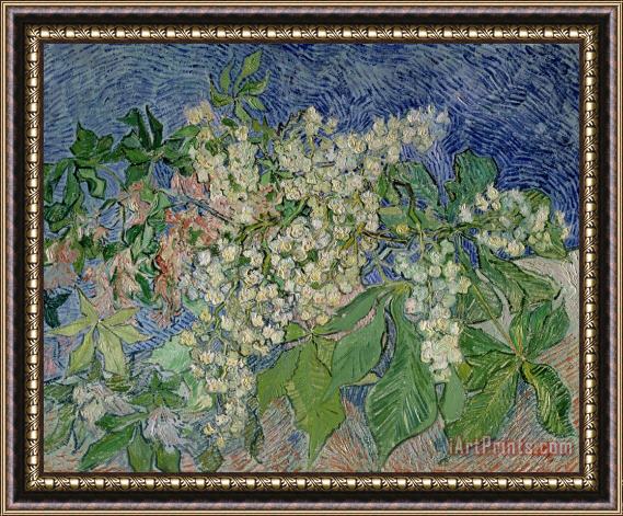 Vincent Van Gogh Blossoming Chestnut Branches Framed Painting