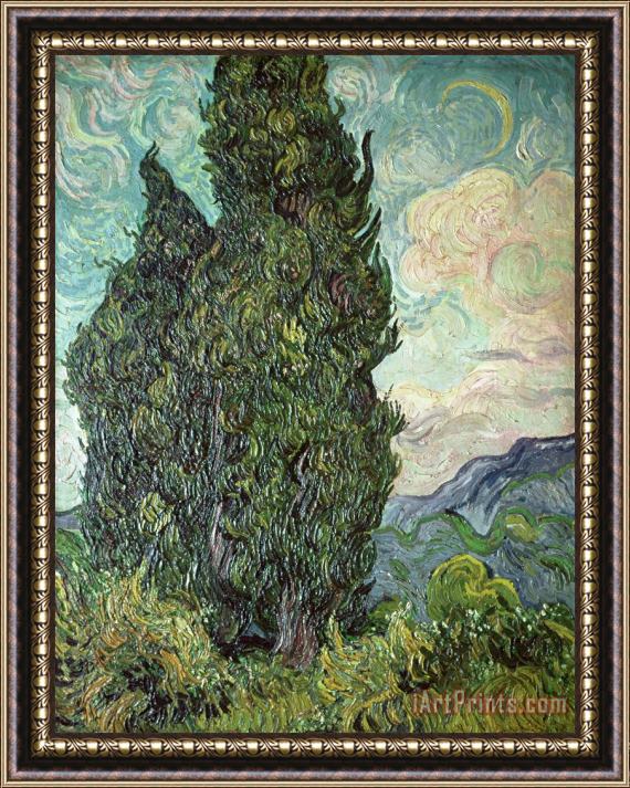 Vincent Van Gogh Cypresses Framed Painting