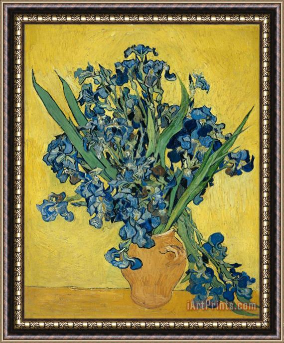 Vincent van Gogh Irises Framed Print