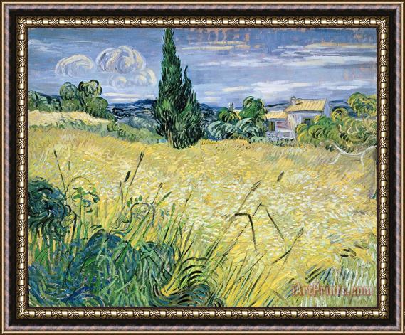 Vincent Van Gogh Landscape with Green Corn Framed Painting