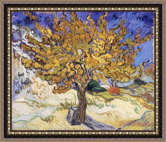 Vincent Van Gogh Mulberry Tree Framed Painting