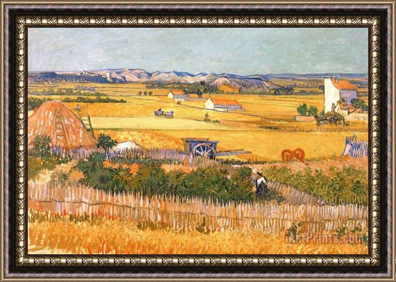 Vincent van Gogh Wheatfields Framed Print