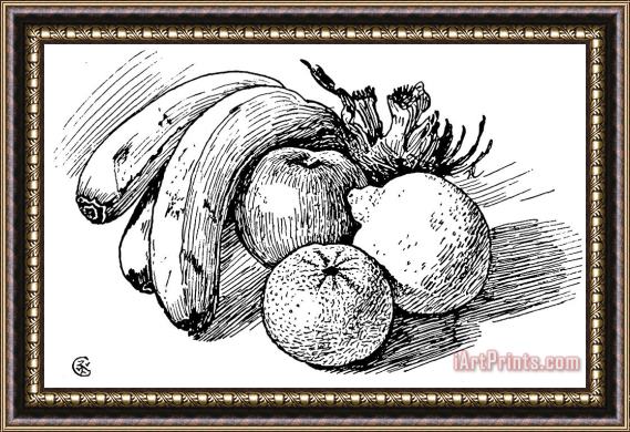 Walter Crane Pen Drawing Of Fruit Framed Print