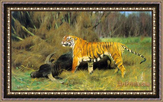 Wilhelm Kuhnert A Tiger with Its Prey Framed Painting