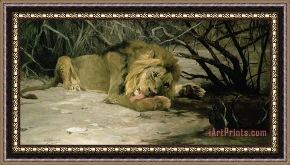 Wilhelm Kuhnert Lion Reclining in a Landscape Framed Print