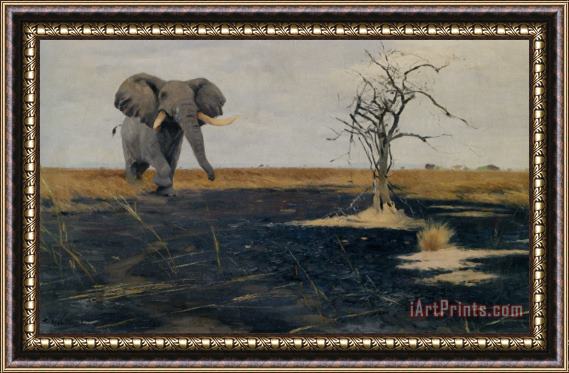 Wilhelm Kuhnert The Lone Elephant Framed Print