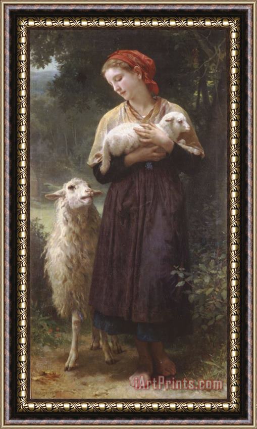 William Adolphe Bouguereau The Newborn Lamb Framed Painting
