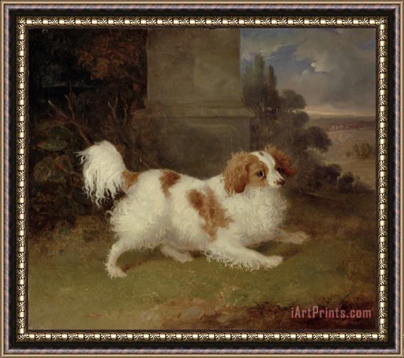 William Webb A Blenheim Spaniel Framed Painting