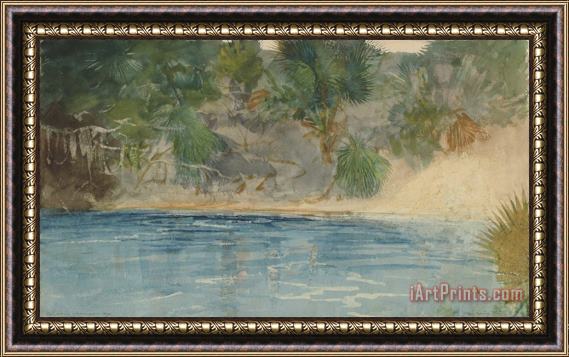 Winslow Homer Blue Spring, Florida Framed Print