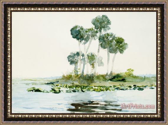 Winslow Homer St. Johns River, Florida Framed Painting