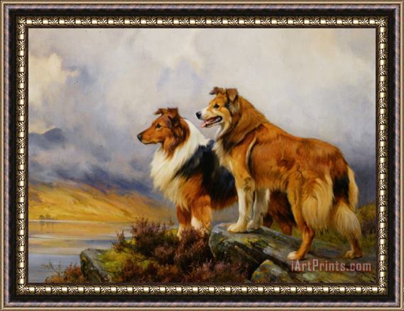 Wright Barker Two Collies Above a Lake Framed Painting