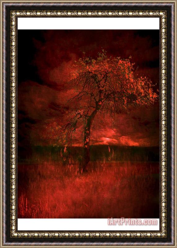 Zygmunt Kozimor Bloody tree Framed Print