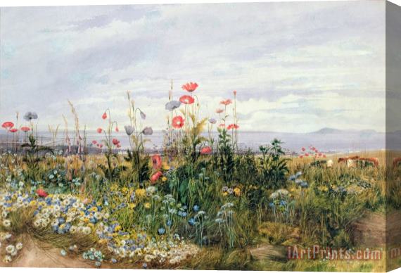 A Nicholl Wildflowers with a View of Dublin Dunleary Stretched Canvas Painting / Canvas Art