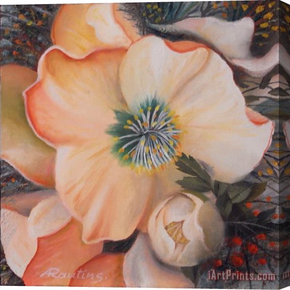 Agris Rautins Anemone Stretched Canvas Painting / Canvas Art