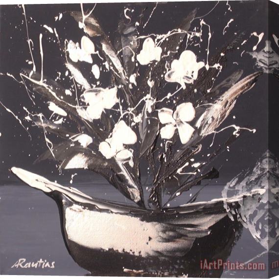 Agris Rautins Flowership Stretched Canvas Print / Canvas Art