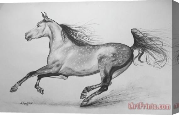 Agris Rautins Galloping horse Stretched Canvas Painting / Canvas Art
