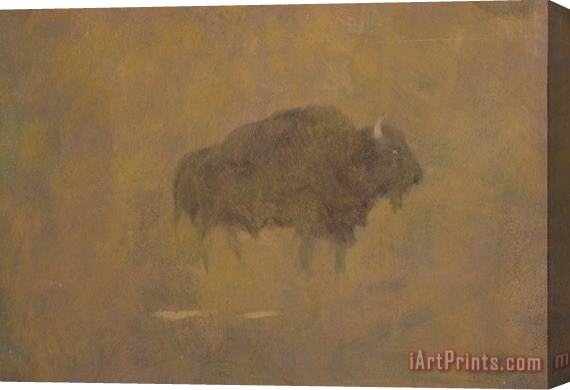 Albert Bierstadt Buffalo in a Sandstorm Stretched Canvas Painting / Canvas Art