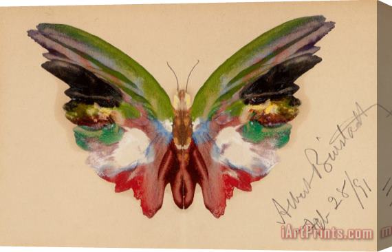 Albert Bierstadt Butterfly, 1891 Stretched Canvas Print / Canvas Art