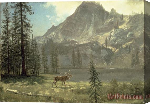 Albert Bierstadt Call of the Wild Stretched Canvas Painting / Canvas Art