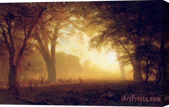 Albert Bierstadt Golden Light of California Stretched Canvas Print / Canvas Art