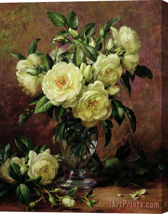 Albert Williams White Roses - A Gift from the Heart Stretched Canvas Print / Canvas Art