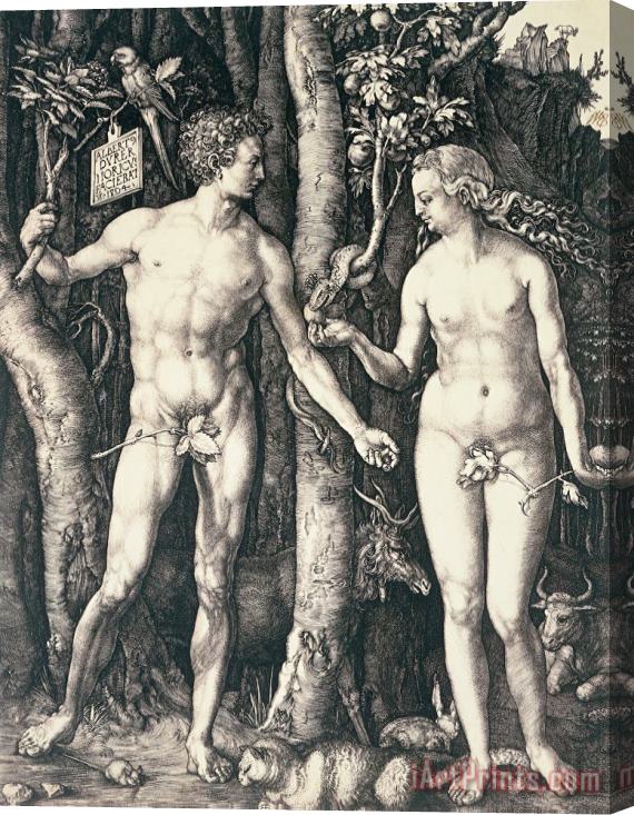 Albrecht Durer Adam And Eve 2 Stretched Canvas Print / Canvas Art