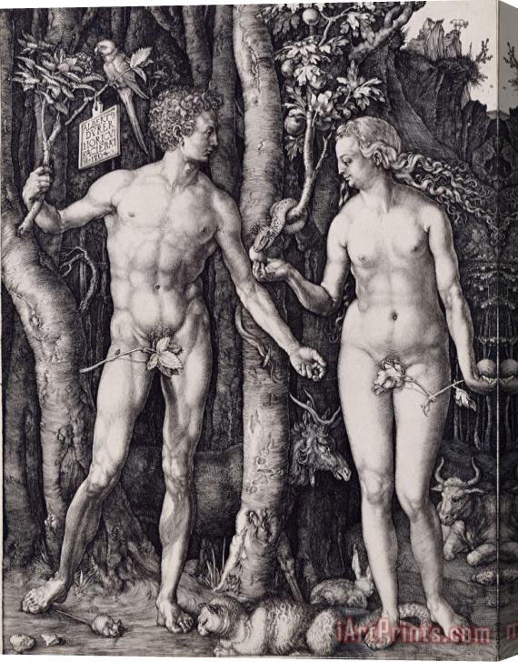 Albrecht Durer Adam And Eve Engraving Stretched Canvas Painting / Canvas Art