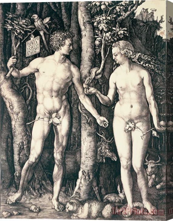 Albrecht Durer Adam and Eve Stretched Canvas Painting / Canvas Art