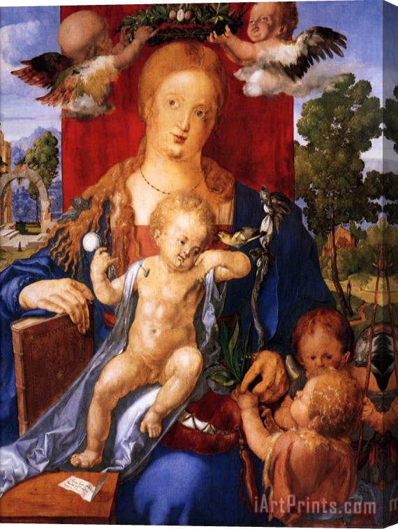 Albrecht Durer Madonna with The Siskin Stretched Canvas Print / Canvas Art