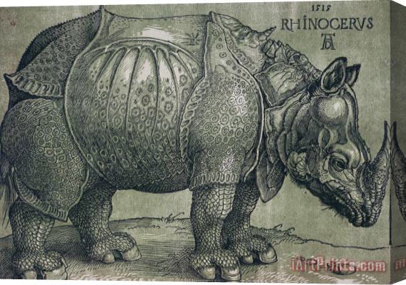 Albrecht Durer The Rhinoceros Stretched Canvas Painting / Canvas Art