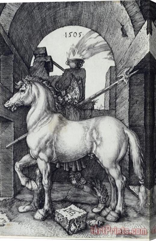 Albrecht Durer The Small Horse Stretched Canvas Print / Canvas Art