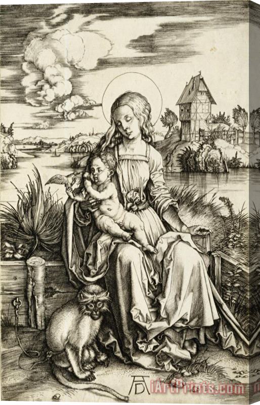 Albrecht Durer Virgin And Child with The Monkey Stretched Canvas Print / Canvas Art